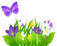 flowerfun2
